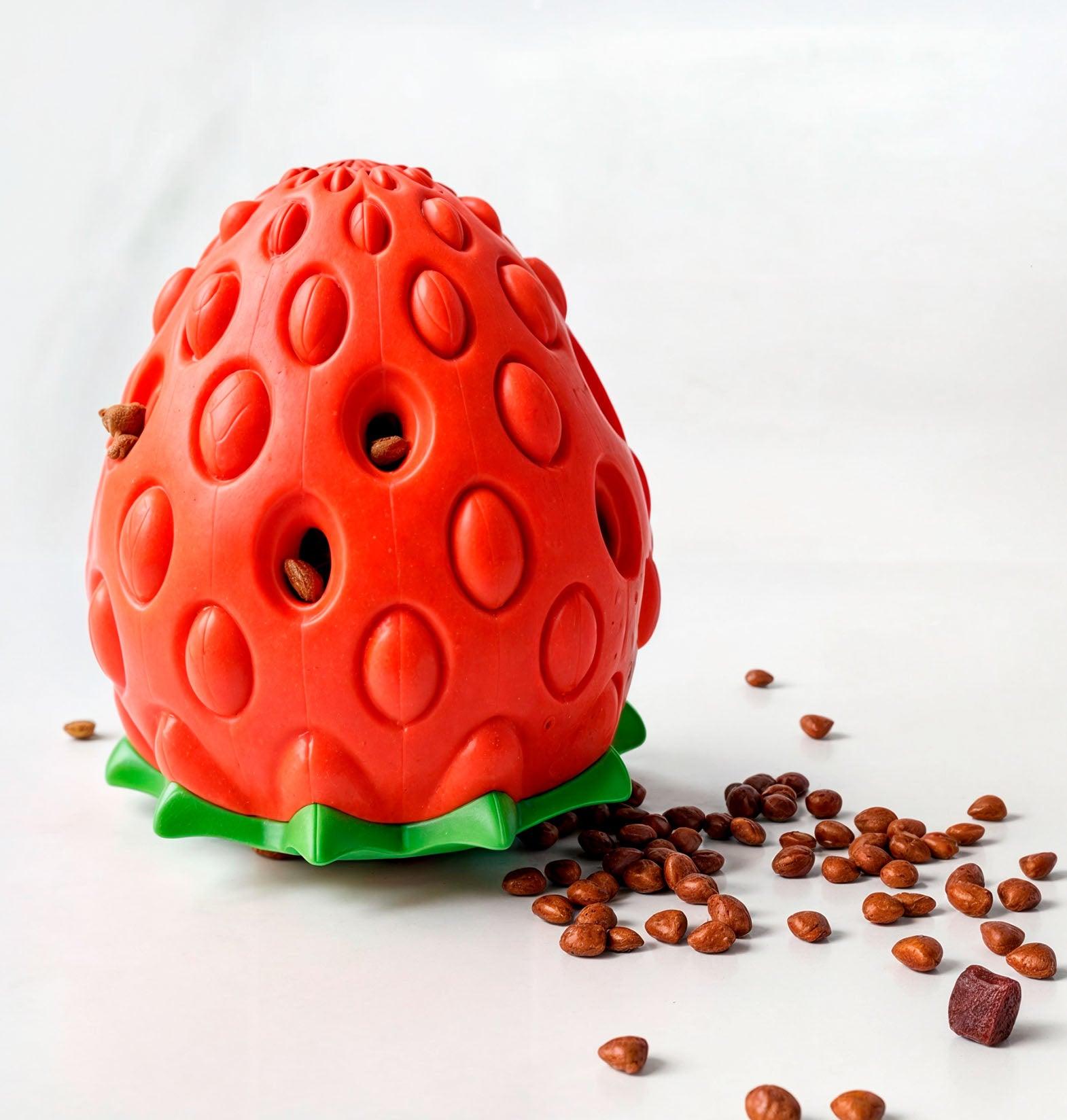 The FresBone Toy